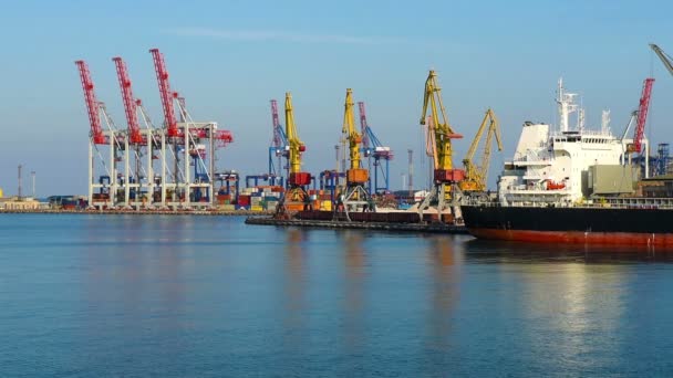 Container bridges in port — Stock Video