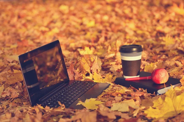 Laptop, coffee and diary — Stock Photo, Image