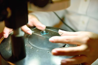 Laboratuvar çalışan bir örnek inceliyor