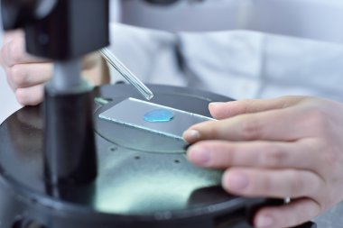 Kimya, biyoloji. Bir pipet ile mavi sıvı örneği alarak bilim adamı