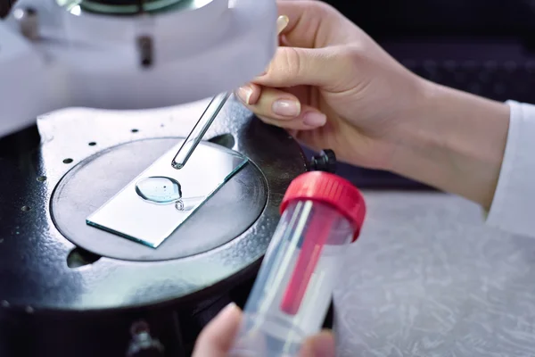 Scientist chemist examines the sample — Stock Photo, Image