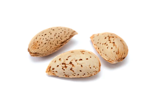 The almond nuts in shell isolated on white background — Stock Photo, Image