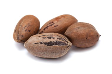 Beyaz arka plan üzerinde izole kabuk closeup fındık pecans