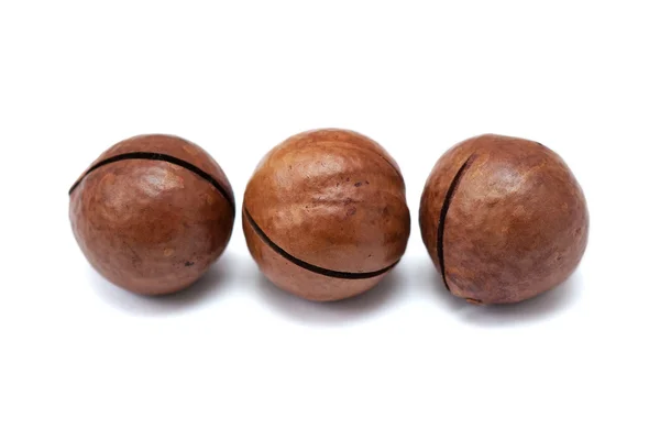 Macadamia nötter med skal isolerad på vit bakgrund — Stockfoto