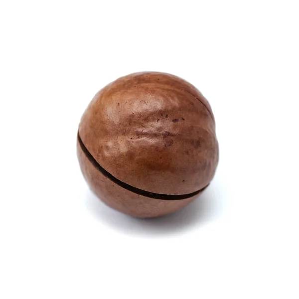 Macadamia καρύδια με κέλυφος που απομονώνονται σε λευκό φόντο closeup — Φωτογραφία Αρχείου