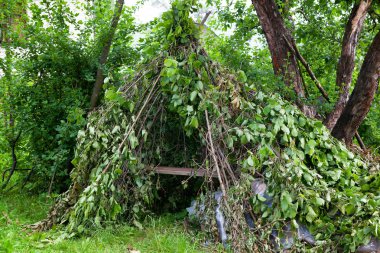 dalları doğa yapılmış bir kulübe