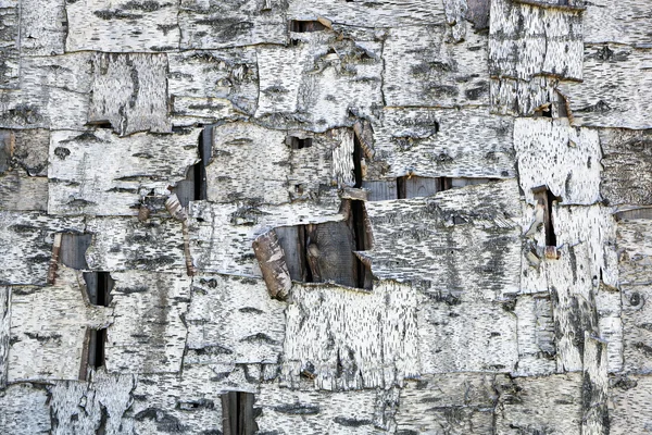 Fogli di corteccia di betulla su assi di legno. Struttura di sfondo di corteccia di betulla — Foto Stock