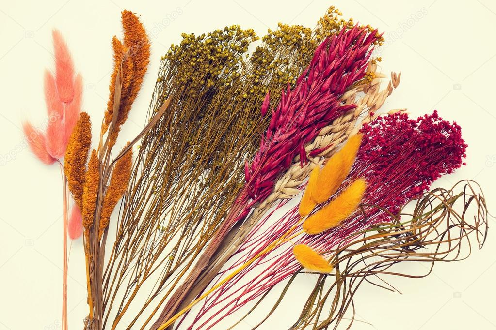 background of a beautiful wild dried flowers closeup. dried decorative flowers and plants to decorate bouquets florists