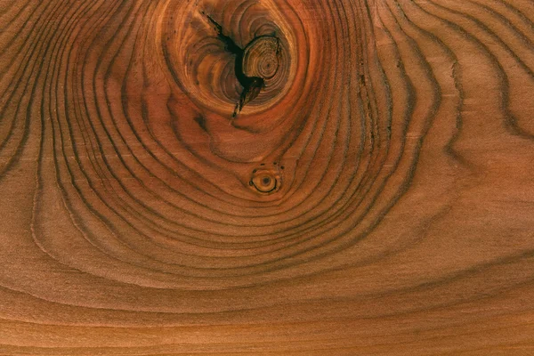 Detail dřevěných texture. větvička strom. kroužky na prořezání stromu — Stock fotografie