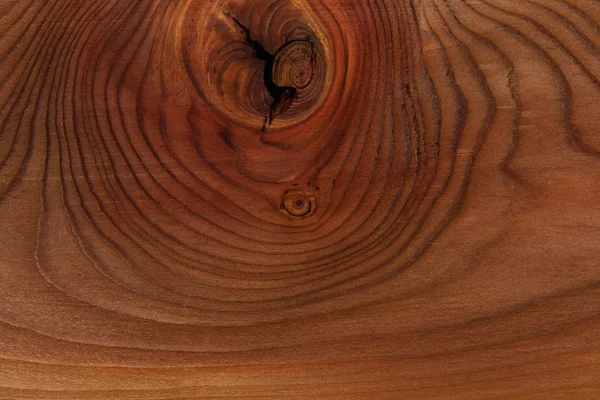 Pozadí dřevěné textury, detailní záběr. krásný výsek stromu. — Stock fotografie