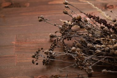 Kuru çiçek ahşap arka plan üzerinde. Sığ derinlik-in tarla. Metin için yer. doğal aydınlatma