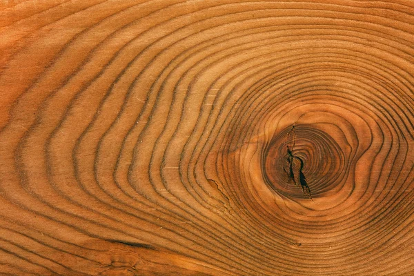 Část trupu s letokruhy. pozadí, textury přírodního dřeva — Stock fotografie