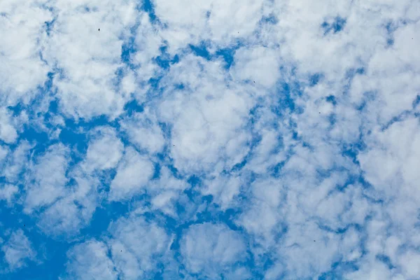 Air Moln Blå Himmel — Stockfoto
