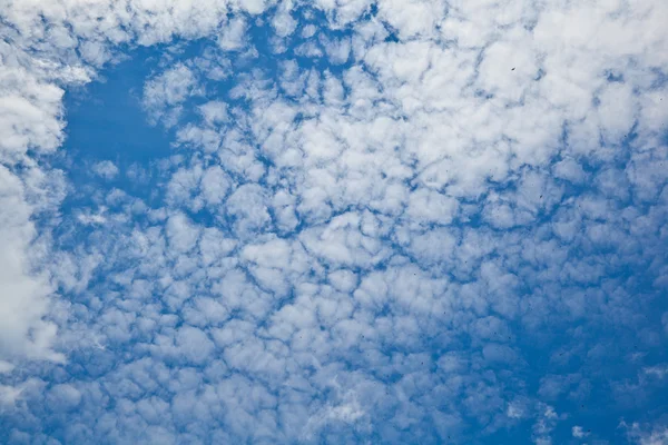 Ljusblå Himmel Med Moln — Stockfoto