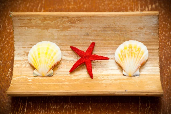 Étoile de mer et coquillages en rouge sur une surface en bois — Photo