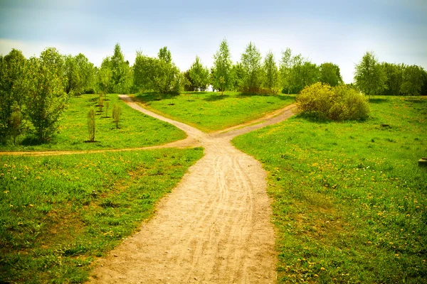 Tenedor en la carretera en el parque, dientes de león florecientes. paisaje de primavera — Foto de Stock