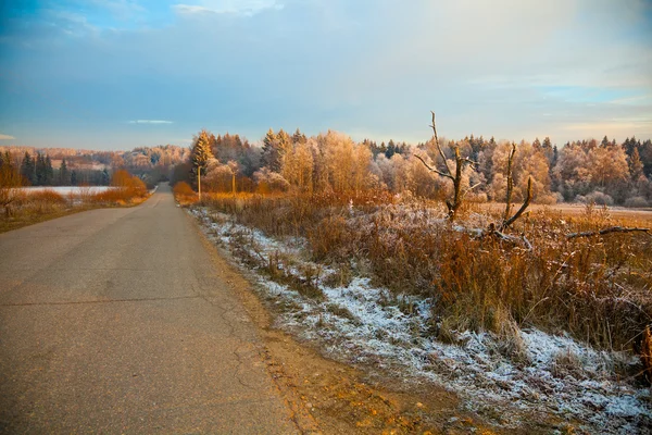 Красивый осенний пейзаж, пустая дорога — стоковое фото