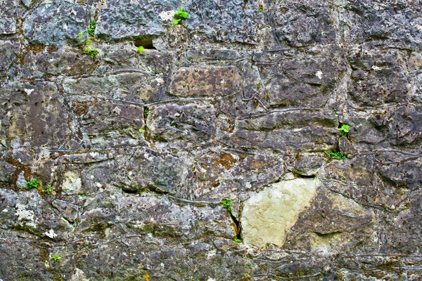 Fondo de textura de pared de piedra —  Fotos de Stock