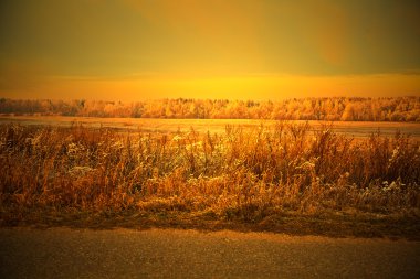 Rustik sonbahar manzara. gün batımında. Sonbahar çimleri, orman, alan