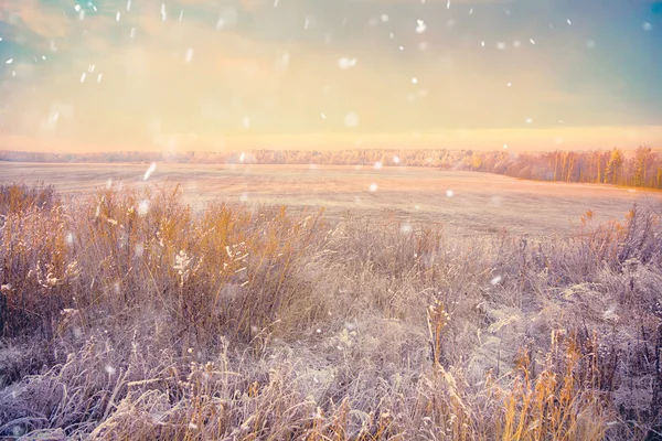 Дивовижний зимовий пейзаж за містом. Поле, дерева, сніг падає — стокове фото