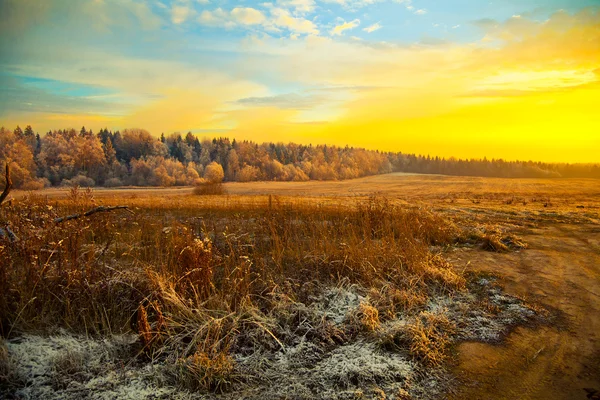 Pole, lesy, suché trávy - krásné krajiny při západu slunce — Stock fotografie