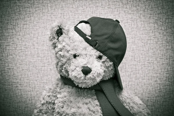 Urso de pelúcia de brinquedo usando um cachecol e um boné de beisebol — Fotografia de Stock