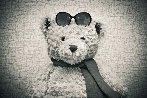 Toy teddy bear wearing a scarf and sunglasses — Stock Photo, Image