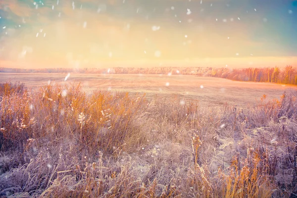 Winter landscape in the village. Field with dry grass, forest, snow falls — Stock Photo, Image