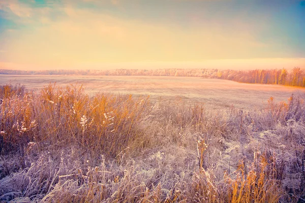 Winter landscape in the village