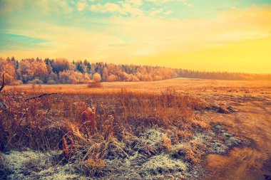 Gün batımında ülke manzara. Alan, orman, Frost kuru ot