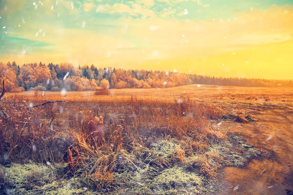 Winter landscape at sunset, field, forest, snow falls. — Stock Photo, Image