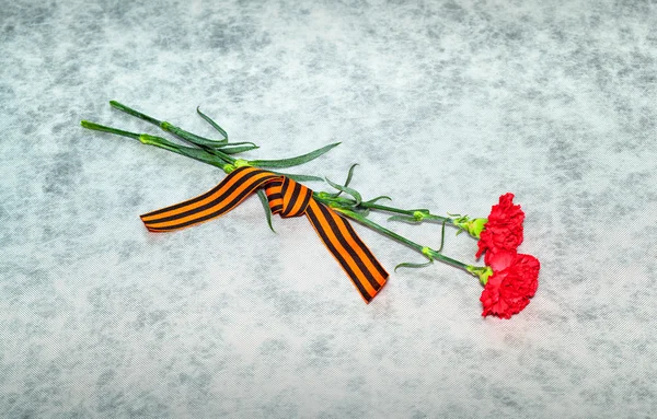 Two carnation flowers and George Ribbon on a light background — Stock Photo, Image