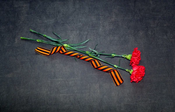 Carnation bloemen en George Ribbon. 70 jaar van de overwinning in de grote patriottische oorlog — Stockfoto