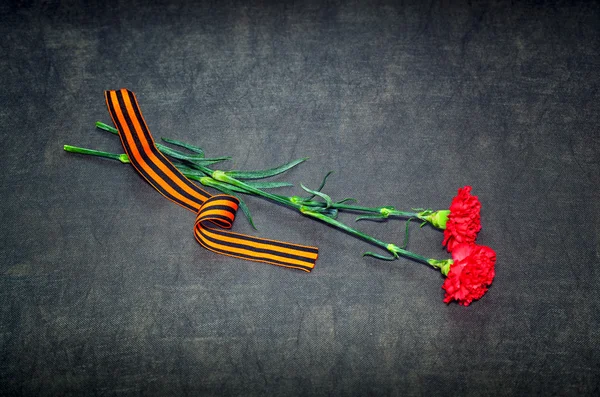 Carnation bloemen en George Ribbon — Stockfoto