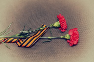 Two carnation flowers and George Ribbon. Vintage Photo. In honor of the victory in World War II clipart