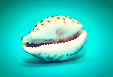 Seashell kaplan noktalar ile