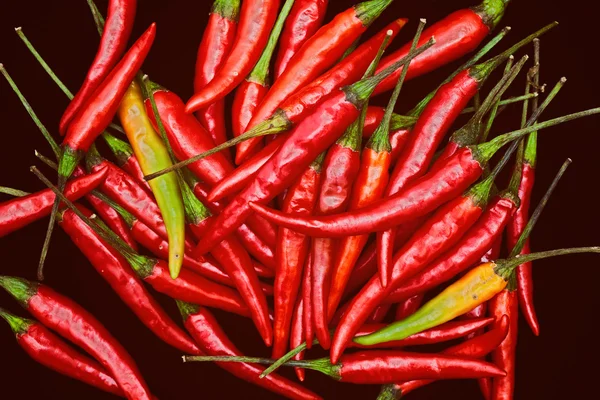 Chiles picantes sobre fondo negro — Foto de Stock