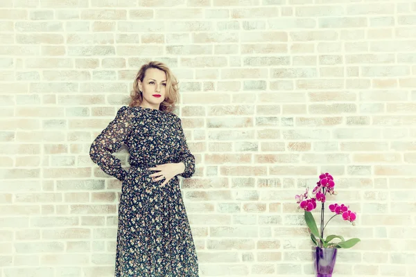 Girl in dress and home flower in pot. Background of brick wall — Stock Photo, Image