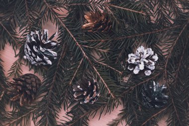 Noel arka plan, bir Noel ağacı dalı. Noel ağacı şenlikli külah. Vintage tarzı