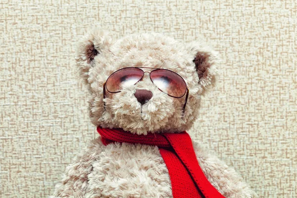 Teddybär mit Sonnenbrille — Stockfoto