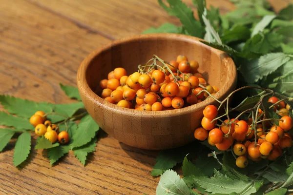 Bunch of rowan berries in bowl — Stock Photo, Image