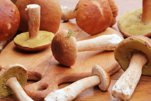 Mushroom boletus op snijplank — Stockfoto