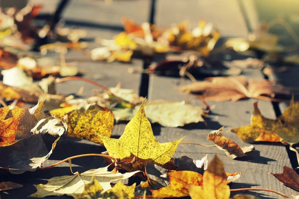 Gouden herfstbladeren - vallen achtergrond . — Stockfoto