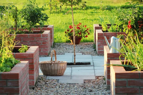 Un orto moderno con letti a ponte rialzati. .Letti rialzati giardinaggio in un orto urbano piante erbe aromatiche spezie bacche e verdure — Foto Stock