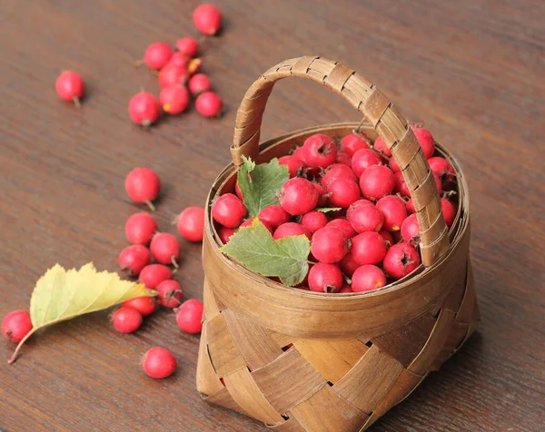 Berries Traditional Medicine Ripe Hawthorn Basket Wooden Background — Stock Photo, Image