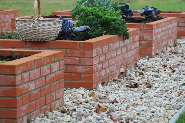 Modern Vegetable Garden Raised Briks Beds Autumn Raised Кровати Садоводства — стоковое фото