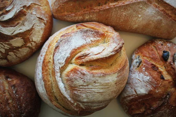 Verschiedene Laibe Frisch Gebackener Roggen Weiß Und Vollkornbrot Auf Dunklem — Stockfoto