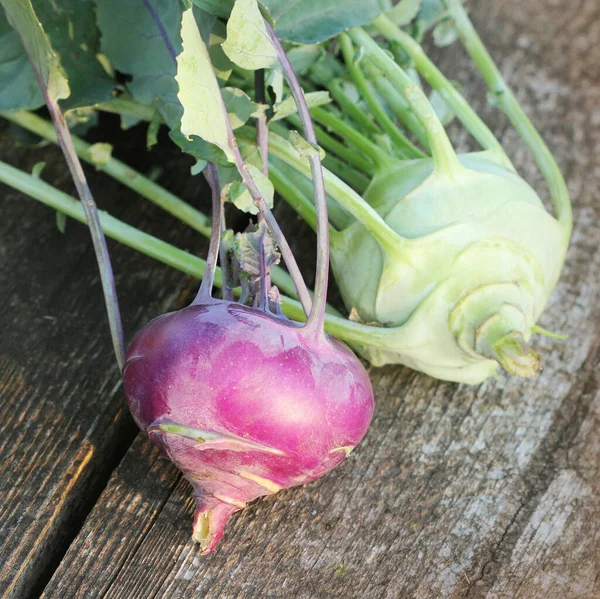 Kohlrabi Fresco Púrpura Blanco Con Hojas Verdes Fondo Madera — Foto de Stock