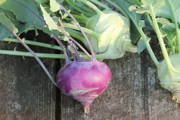 Μοβ Και Λευκό Kohlrabi Πράσινα Φύλλα Ξύλινο Φόντο — Φωτογραφία Αρχείου