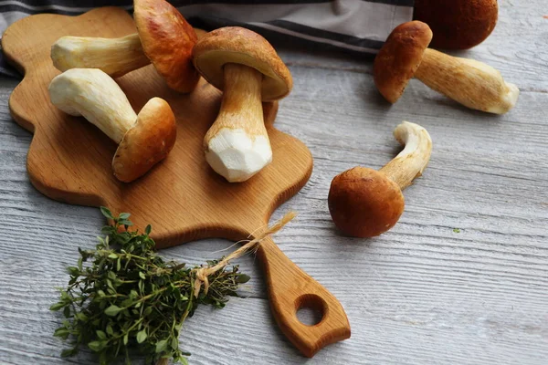 蘑菇在白色的木制背景上 秋天的香菇 蘑菇采摘和烹调 — 图库照片